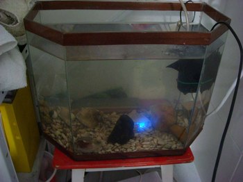 Моддинг Puls water Light