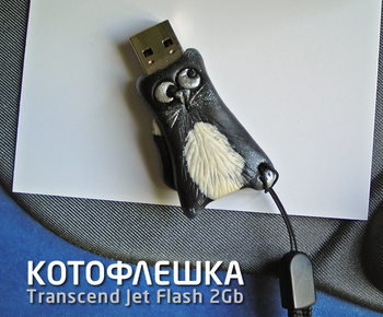 Моддинг Transcend Jet Flash 2Gb