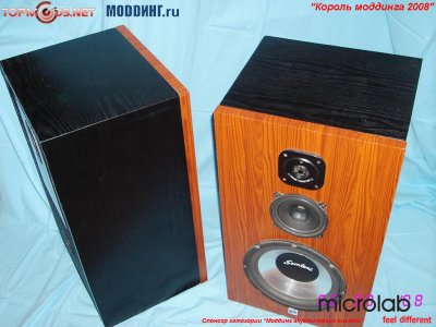 Король Моддинга 2008: акустика, мониторы, мобильные устройства
