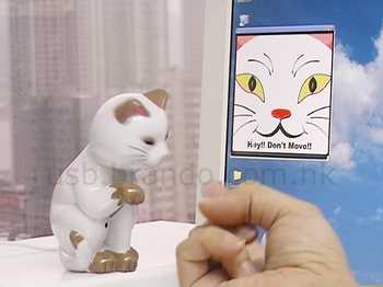  USB Kitty -    